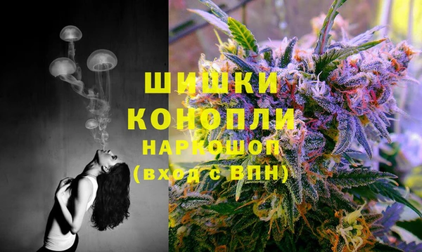 соль ск Аркадак